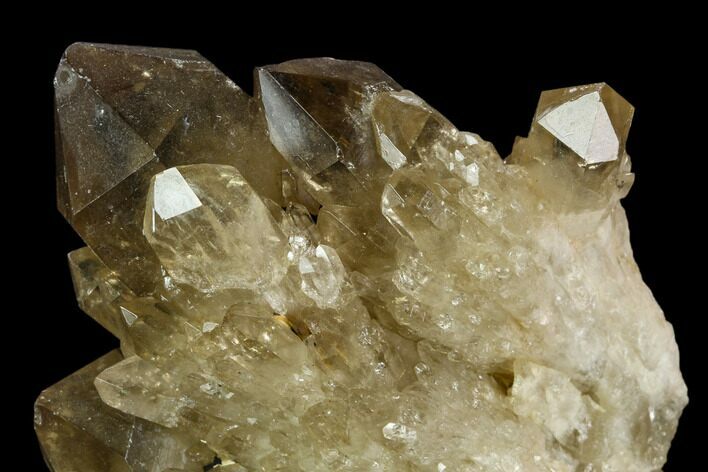 Smoky Citrine Crystal Cluster - Lwena, Congo #128421